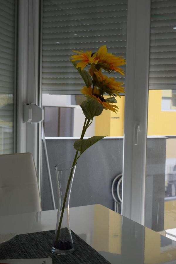 Apartmani K&V Veliko Gradište Exteriér fotografie
