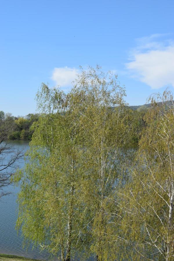Apartmani K&V Veliko Gradište Exteriér fotografie